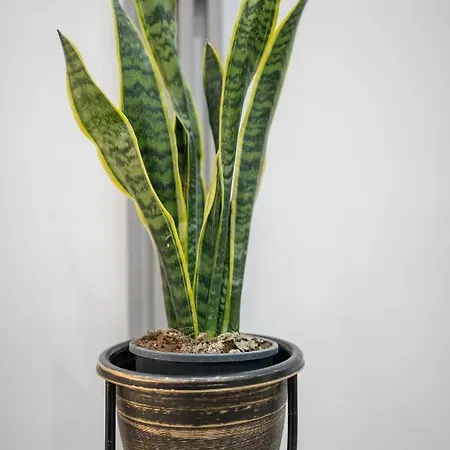 58 - 5min To * Kos Town